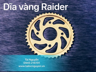 DĨA VÀNG RECTO CHO RAIDER
