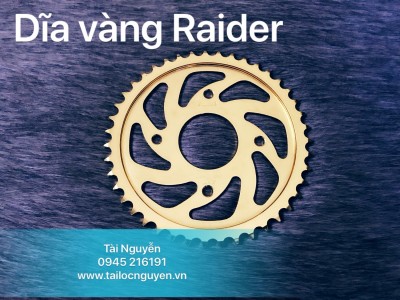 DĨA VÀNG RECTO CHO RAIDER