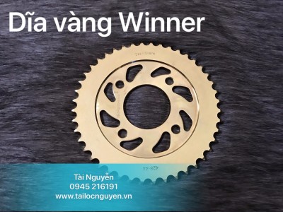 DĨA VÀNG OSAKI CHO WINNER