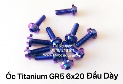 ỐC TTIANIUM GR5 6x20 ĐẦU DÀY