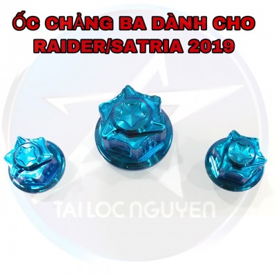 BỘ ỐC TITAN GR5 CHẢNG BA CHO RAIDER FI 2019