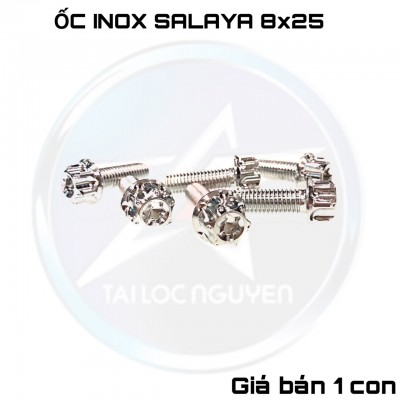 ỐC INOX SALAYA 8x25