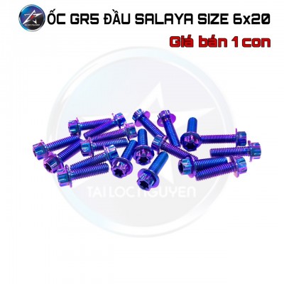 ỐC INOX GR5 ĐẦU SALAYA SIZE 6LI (6x15, 6x20, 6x30)