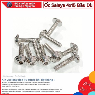 ỐC INOX SALAYA 4x15 ĐẦU DÙ