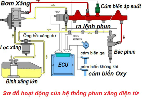 sơ đồ hoạt động của hệ thống phun xăng điện tử