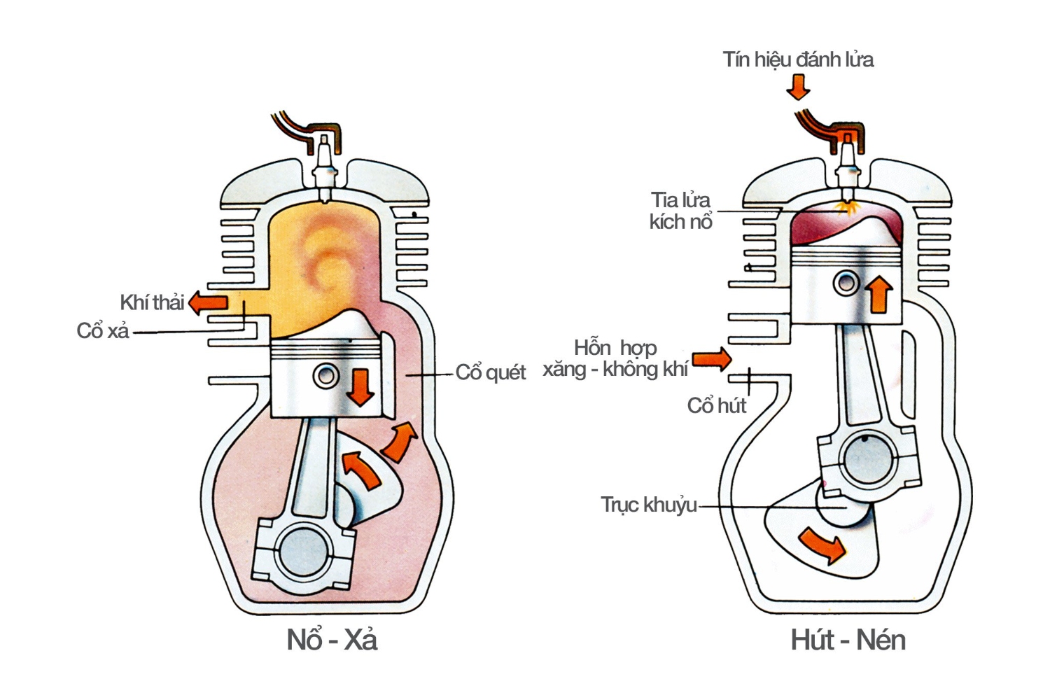 dau nhot dong co 2 thi