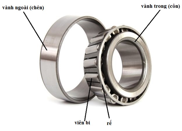 cau tao vong bi con