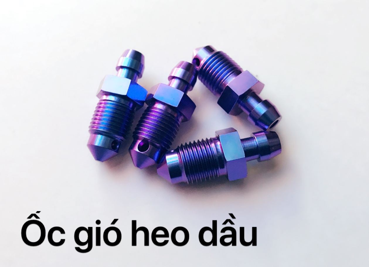 Ốc gió heo dầu